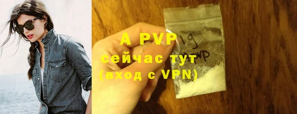 apvp Касимов