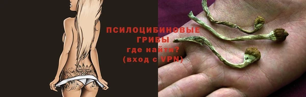 прущий лед Карпинск