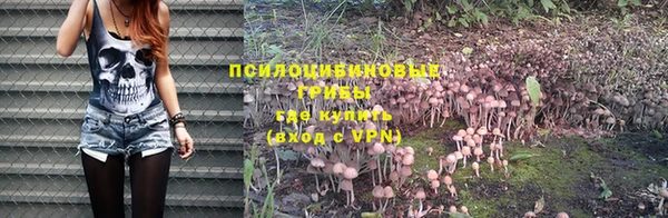 гидра Карталы