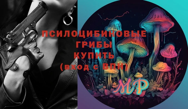 apvp Касимов