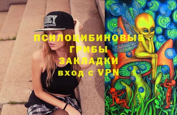 прущий лед Карпинск