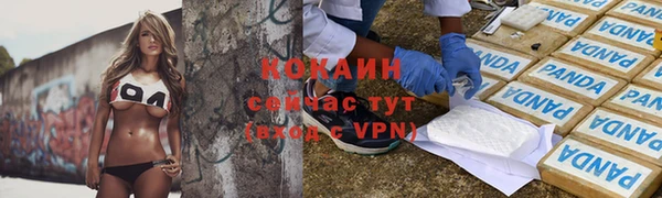 гидра Карталы