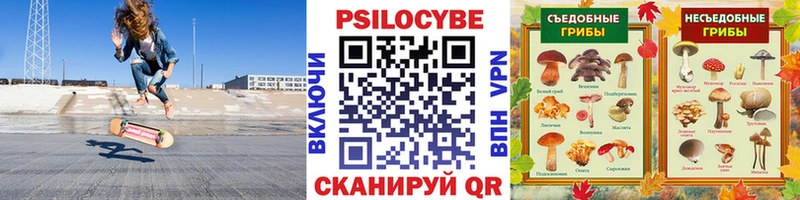 Галлюциногенные грибы прущие грибы  Купить  Яблоновский 